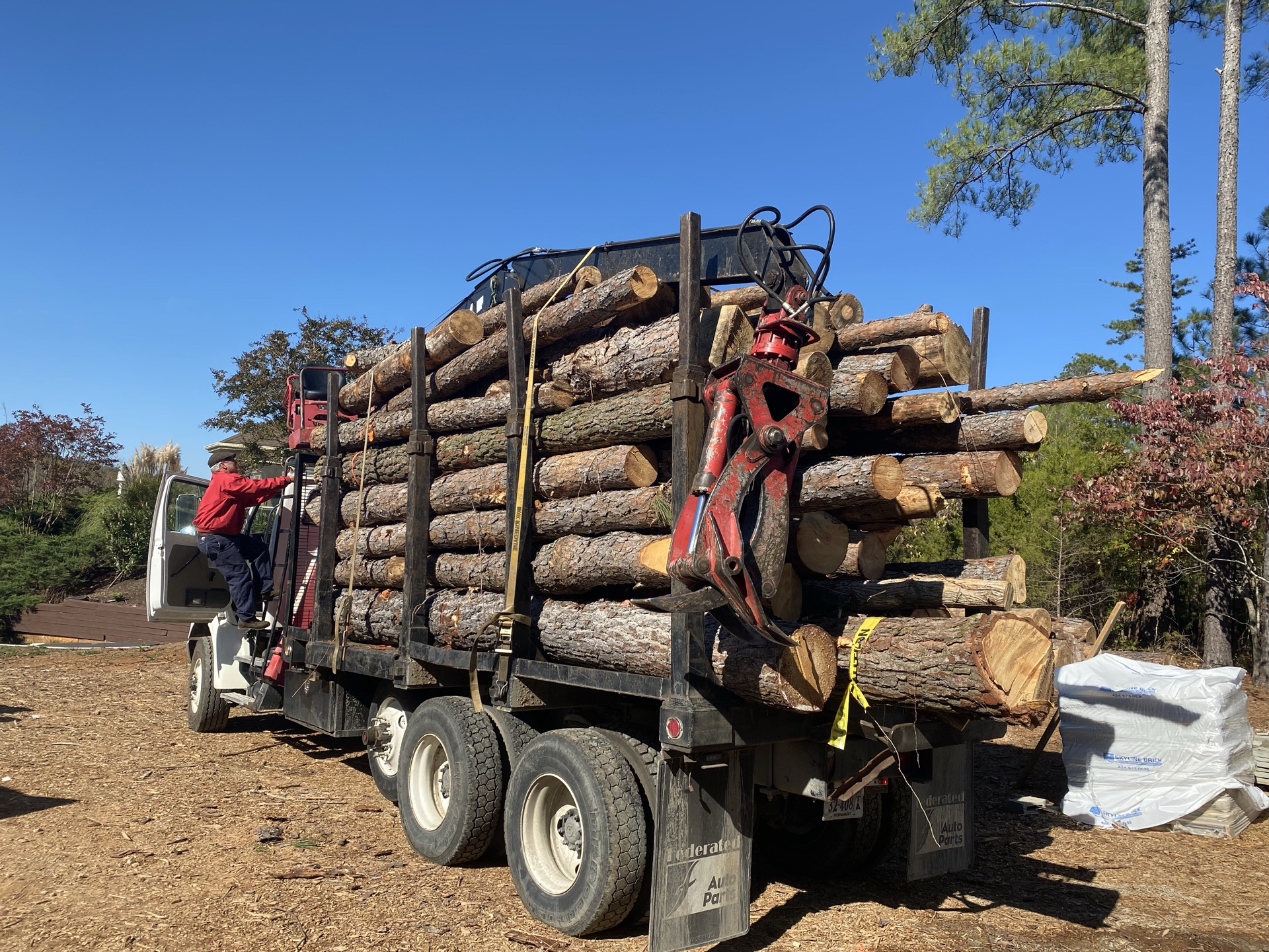 Tree removal project