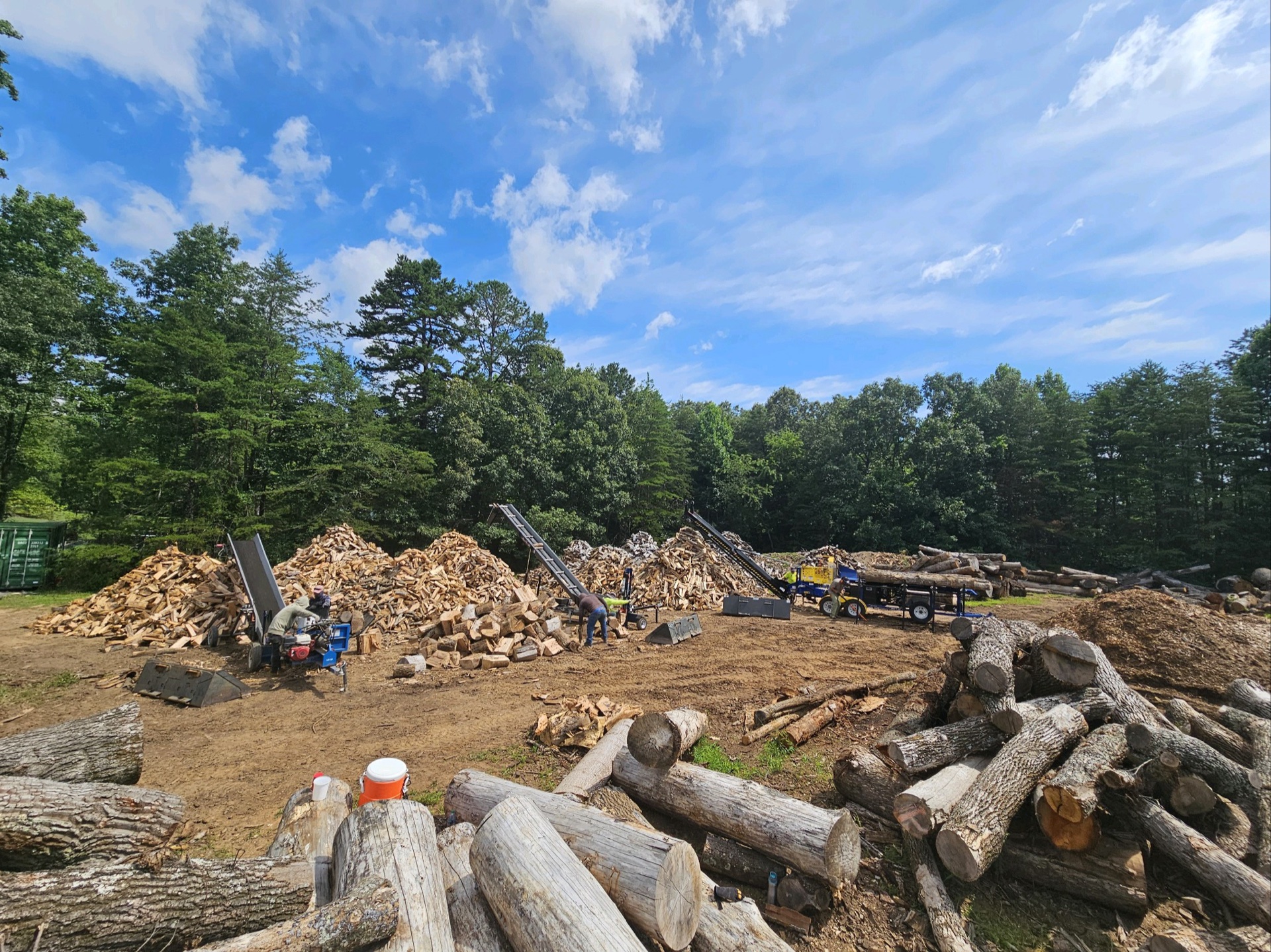 Professional tree service work