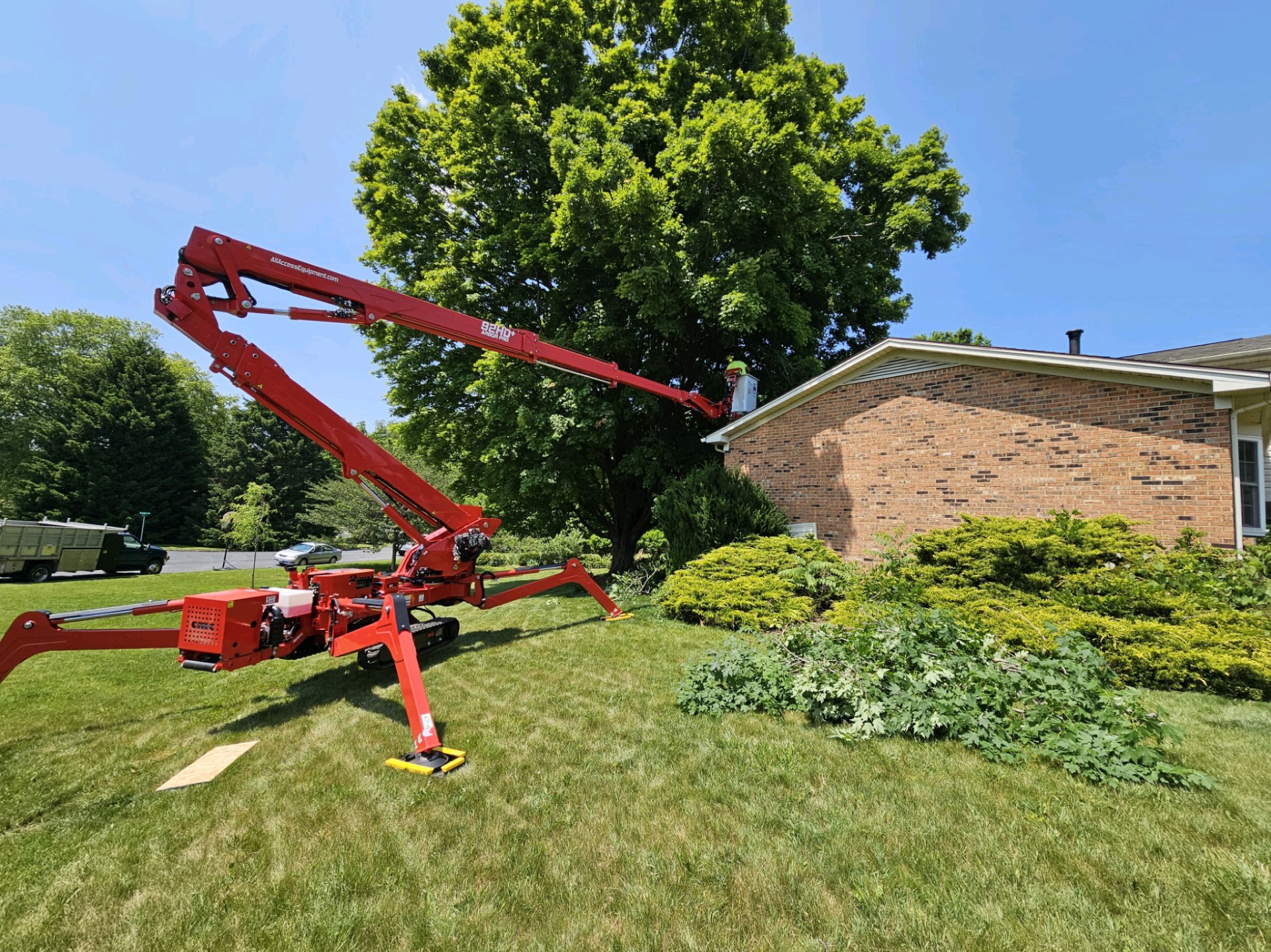 Professional tree service work